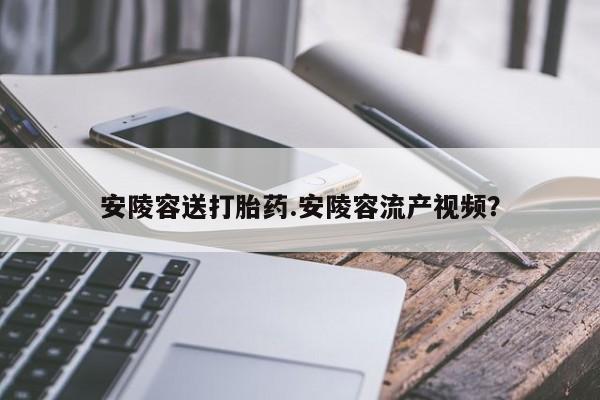 哪里可以私下卖到打胎药安陵容送打胎药.安陵容流产视频？