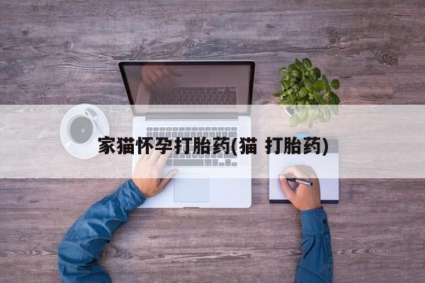 哪里可以私下卖到打胎药家猫怀孕打胎药(猫 打胎药)